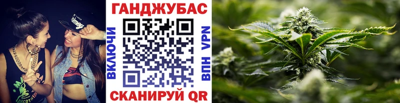 Канабис сатива Мостовской